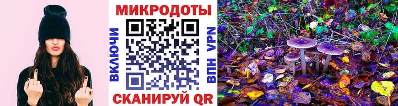 что такое наркотик  Анжеро-Судженск  omg ссылки  Галлюциногенные грибы GOLDEN TEACHER 